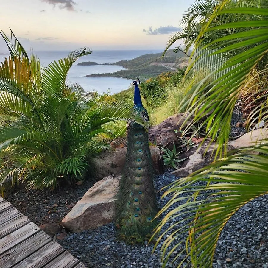 Aleli Cottages Isla Culebra Chata